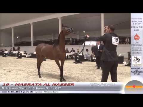 Berlin Cup Werder 2015 - Fillies 3 years old (Class 5) - N.19 MASRATA AL NASSER