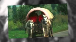 Morning Dew - Gypsy - 1971