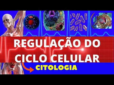CONTROLE DO CICLO CELULAR (REGULAÇÃO DO CICLO CELULAR) - CICLO CELULAR E MITOSE - ENSINO SUPERIOR