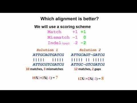 Quantitative Biological Research with Python - Lesson 5, Lecture - Sequence Alignment