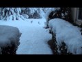 Richalvarez In The SNOW