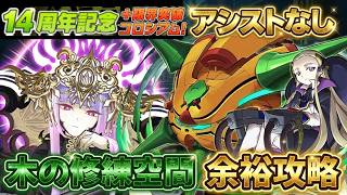 【パズドラ】ただずらすだけの神編成！アシスト不要・完全脳死で「14周年記念＋限界突破コロシアム」と「木の修練空間」をストレスゼロ周回！【実況】