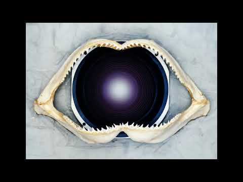 LEFTFIELD   Open Up #progressive #dub #lydon #techno