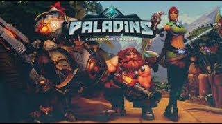 何かしらの二人組 のpaladins実況
