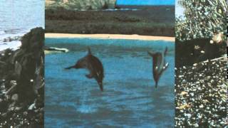 Future Islands - In Evening Air ( In Evening Air, 2010 )