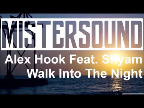 Alex Hook Feat. Shyam - Walk Into The Night (Original Mix)