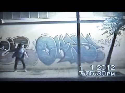 La Reina Morsa - El Arca