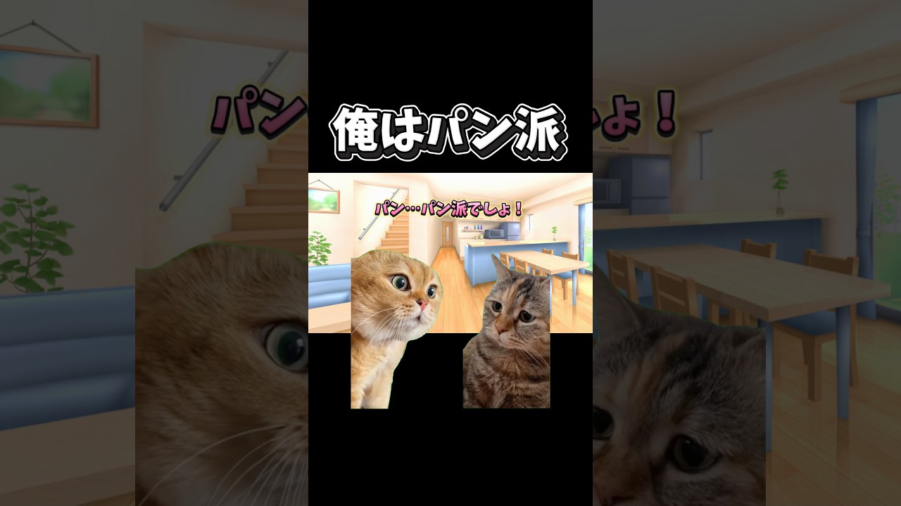 【猫ミーム】俺はパン派