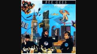 The Bee Gees - Dimensions