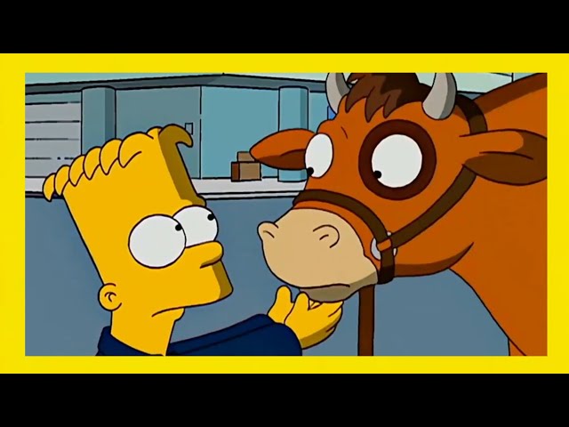 Vídeo relacionado con The Simpsons: The Complete Fifth Season [USA] [DVD]