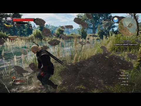 The Witcher 3: Wild Hunt  princess xenthias sword location