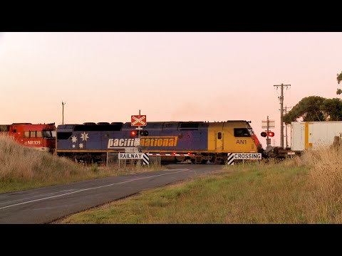 7MP5 Pacific National Container Train At Railway Crossing (12/3/2022) - PoathTV Australian Railways