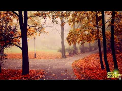 Kenji Sekiguchi. Into the Down (2020 Mix)