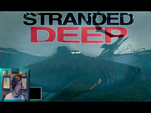 Sunday V-log | Shark infested waters