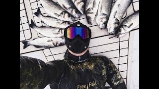 Spearfishing Croatia Sea bass 2018. Spearfishing Croatia Sea bass 2018.