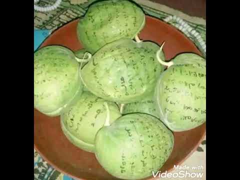 sirin dafai da budin harkoki +233542095535