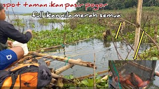 Download lagu MANCING CIRATA‼️full strike ikan nila merah meski cuaca hujan extrem mp3 Download lagu MANCING CIRATA‼️full strike ikan nila merah meski cuaca hujan extrem mp3