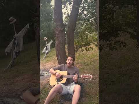 Kytara - Cover - Alenka v říší divů - Karel ZICH