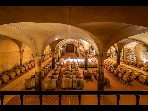 CHIANTI CLASSICO HISTORICAL WINE ESTATE, CASTELLINA IN CHIANTI, SIENA