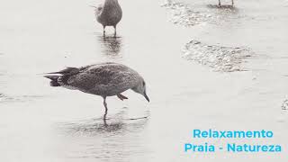 Relaxamento - Meditao - Praia - Mar - Pssaros - Natureza - Mente Zen