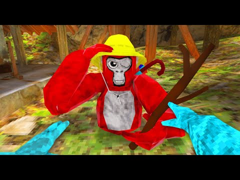 5 Stick Justices in 1 VIDEO