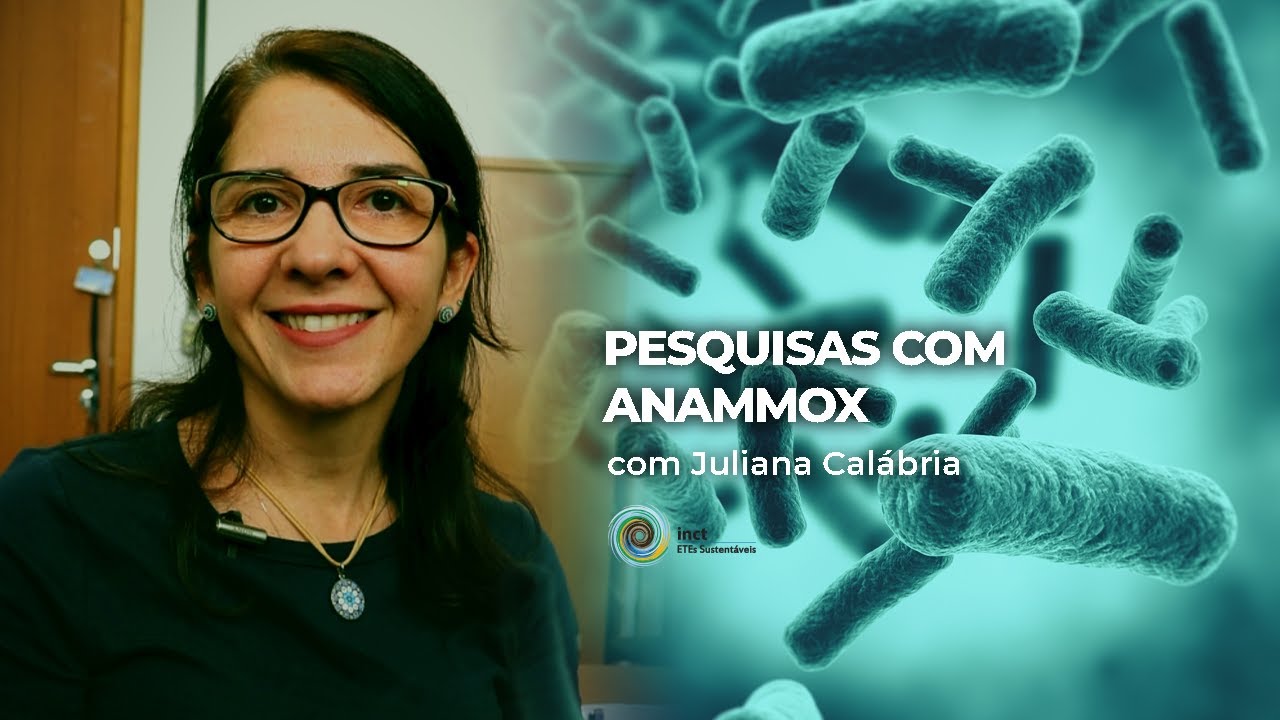 Remoção de nutrientes do esgoto com processo Anammox