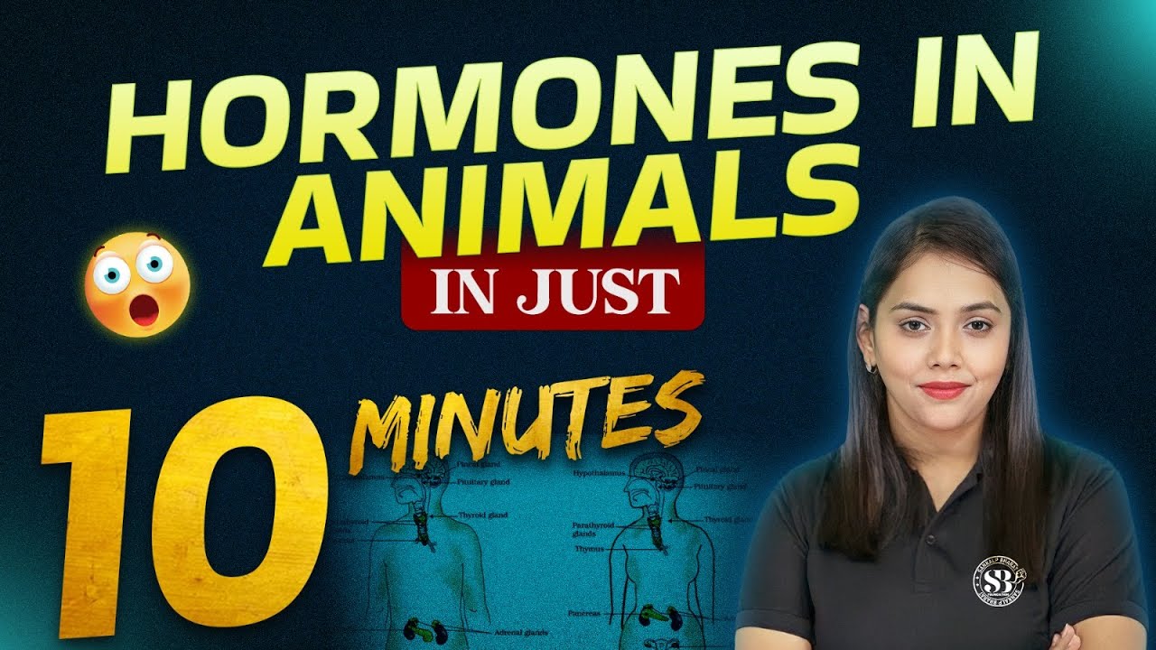 Hormones in Animals Class 10 (Control and Coordination) | Class 10 Biology Chapter 2