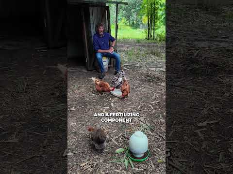 Integrating Animals as Garden Helpers in Permaculture