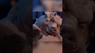 Video-Thumbnail von YouTube