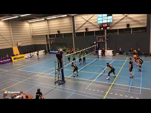 Advisie SSS - Dynamo