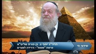 הרב יוסף בן פורת - פרשת שמות - "הפתרון הסופי" לבעיית היהודים ( שידור חי)