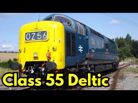 Class 55 Deltic: The Powerhouse of the East Coast Main Line #class55 #deltic #britishrail #fyp