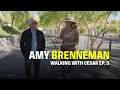 walking with cesar ep. 3 amy brenneman