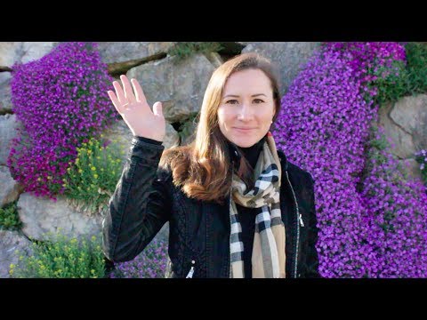 Deutschkurs für Anfänger ⎢Lektion 5 - Frühling in der Schweiz