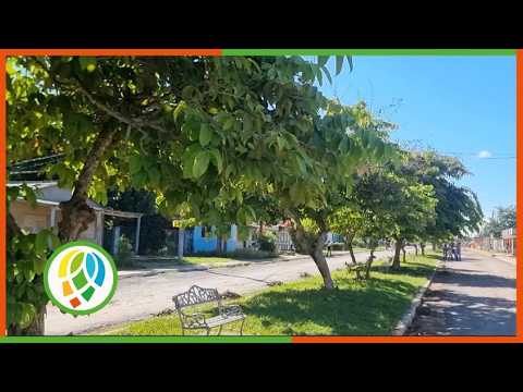 Acciones conjuntas logran saneamiento en Dimas