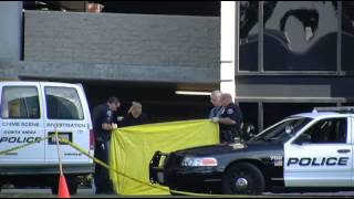 Man dies after fall from parking structure - 2011-12-29