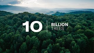 Saudi Green Initiative | Towards 10 Billion Trees