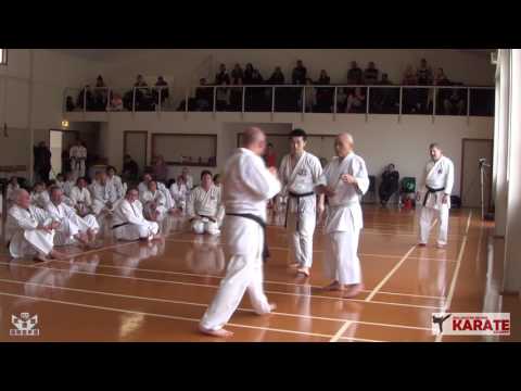 wrka soke 2017 01 13 - 15 sat public 09 attack with two mawashi tzuki then chudan tzuki defender bac