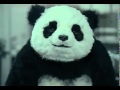 Never say no to panda-Злая панда 
