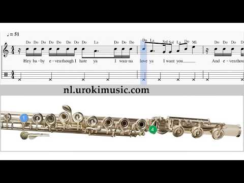 Fluit Leren Spelen Ariana Grande problem Fluitles Studie Klasse Muzieknoten Bladmuziek  Melodie Curs