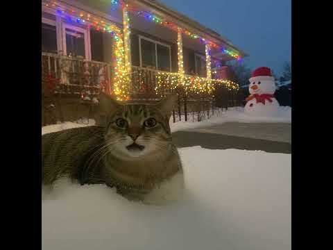 DJ Andrew Vs DJ Cactus - Get Ready (2003)