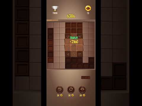 Chocolate Block Puzzle