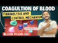 Coagulation  Blood Physiology  | Blood Physiology | Coagulation Cascade Animation | Physiology