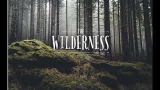 Revival Message 4 &quot;The Wilderness Experience&quot; with Dr. Brian Powell May 7, 2019 PM Service.
