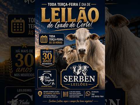 SERBEN LEILÕES - LEILÃO DE GADO- 01/09 - TORRINHA / SP