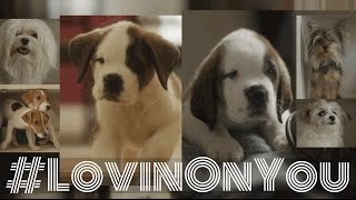 Cary Brothers - Lovin On You