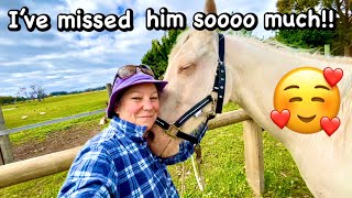The one with the GOAT!!😳Van life Australia