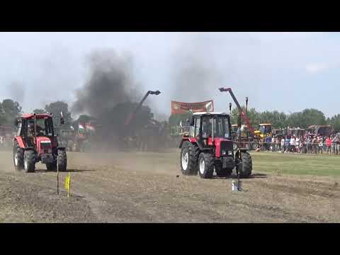 Traktor gyorsulási verseny, 18. futam, Belarusok, Zákányszéki Traktorshow, 2017., v170819-6-130