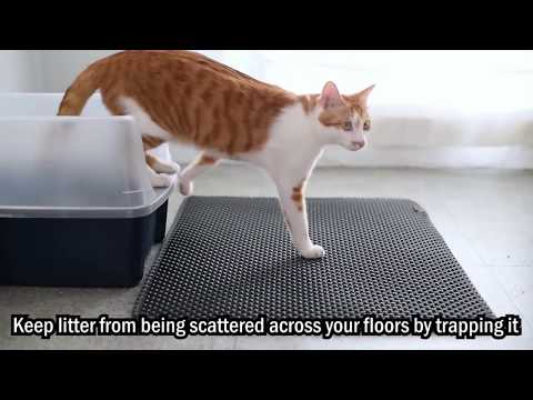 How to stop your cat from getting litter everywhere?