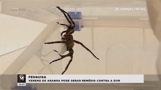 Miniatura do vídeo